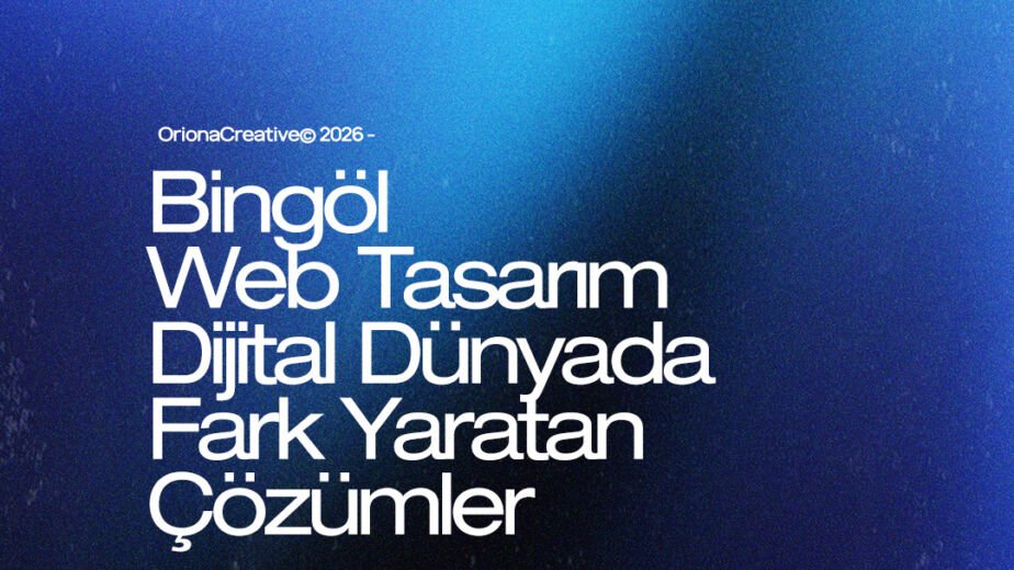 Bingöl web tasarım ve yerel dijital çözümler